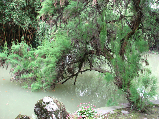 ������Ӱ��Ʒ��һ��