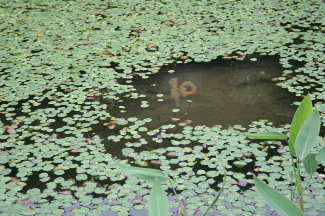 ������ ���й�