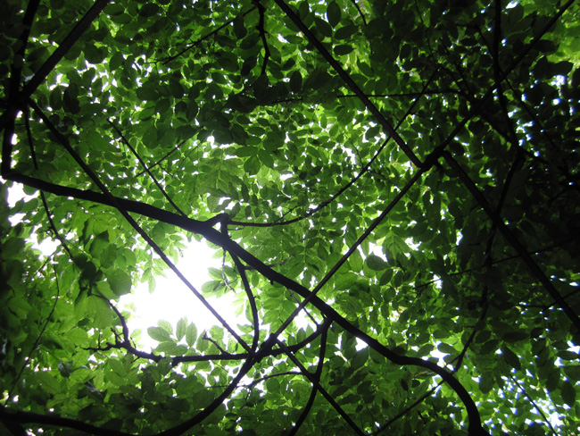 ����������硷���й�