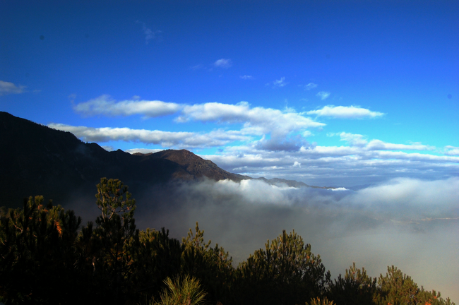 ��������Ӱ��Ʒ������