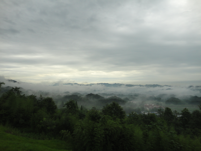 ������ƺ���һ�������ܳ�