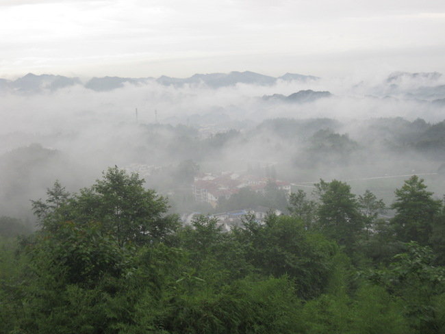 ������ƺ������������ܳ�