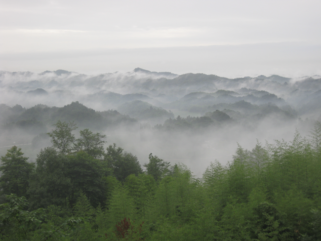 ������ƺ������������ܳ�