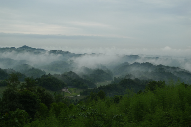 ������ƺ����ģ������ܳ�