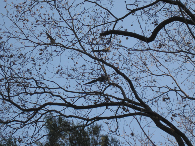 ���ܳ���Ӱ��Ʒ������