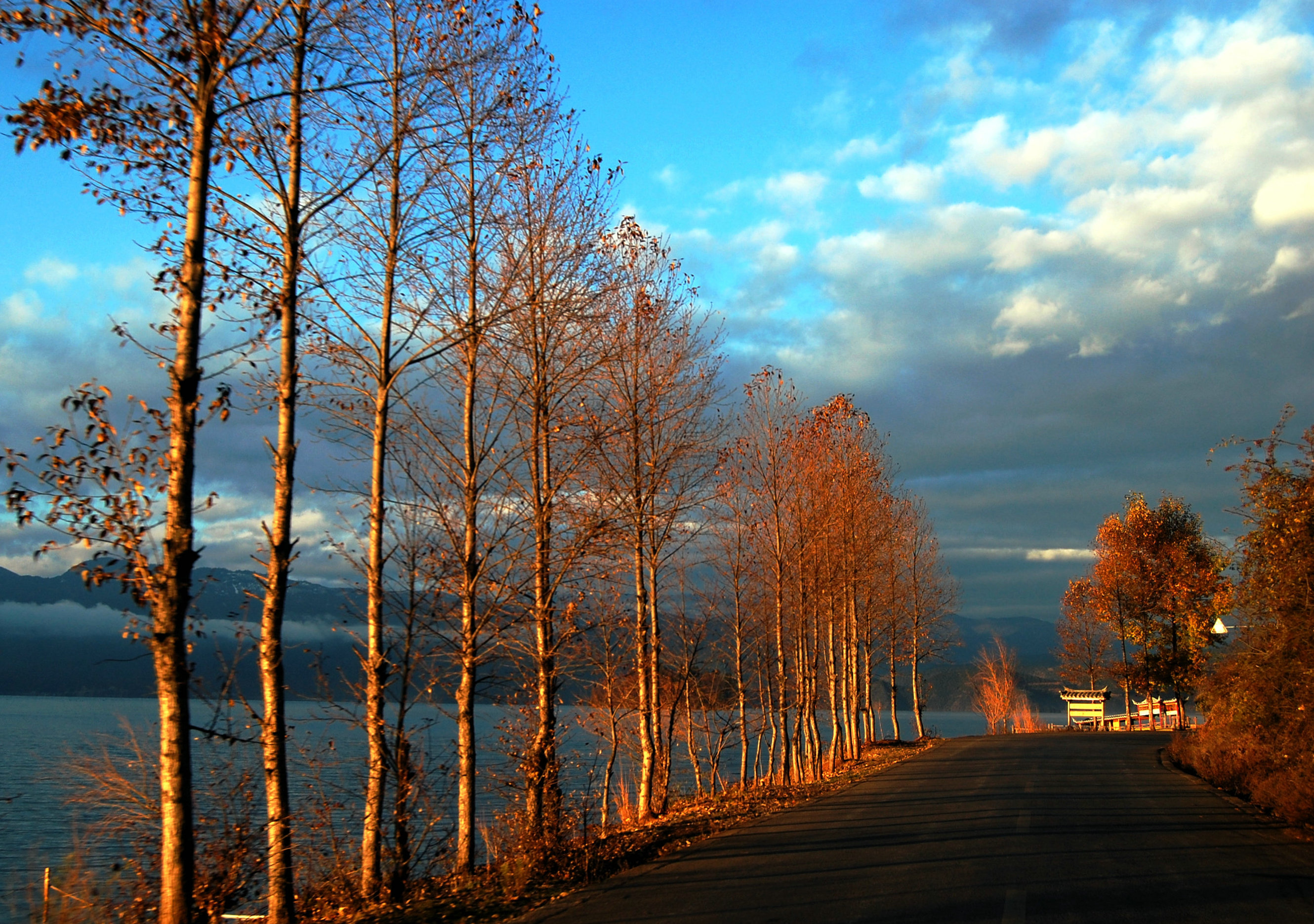 ��������Ӱ��Ʒ������