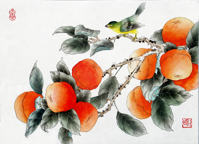 ��ƻ滭����ʮ�ţ�