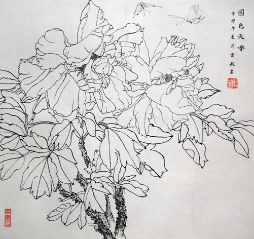 [����]��ɫ���㣨���裩���׺�