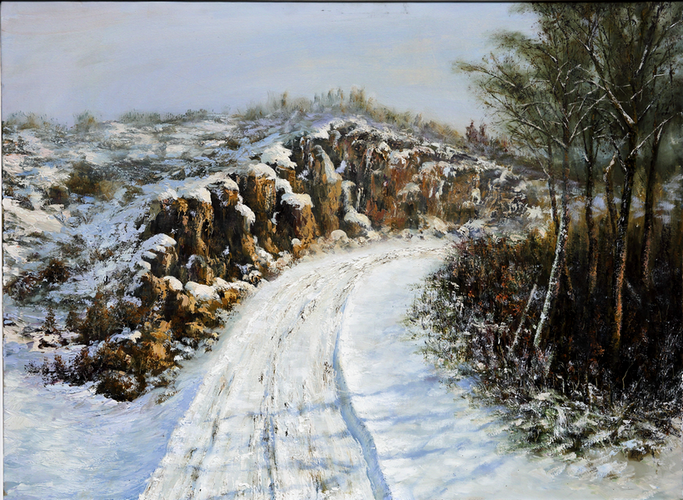 ��ǿ  �ͻ� ����