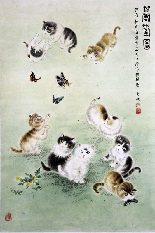 ������  ����  è��ͼ