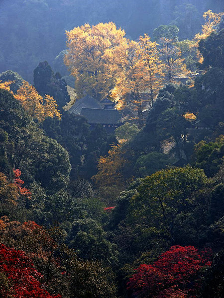 ����Ⱦ��ʦ����÷��